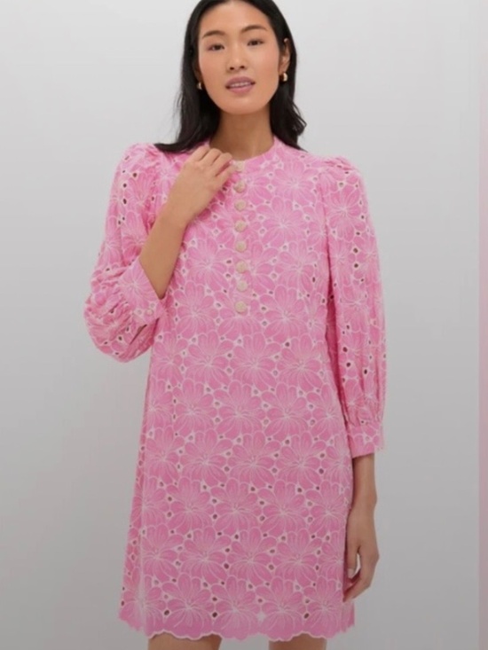 Tuckernuck Dresses & Skirts - Pomander Place x Tuckernuck Pink Eyelet Samantha Dress Small Gold Button Mini